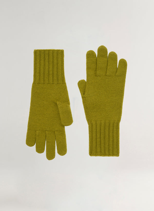 Pair of green gloves on a white background