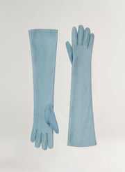blue gloves