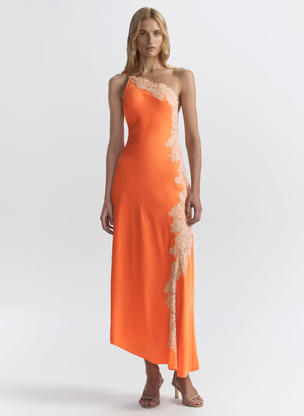 Persimmon | ALCLtd.com Persimmon | ALCLtd.com